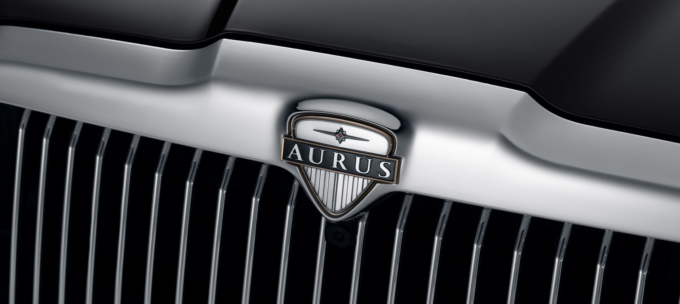 Логотип AURUS